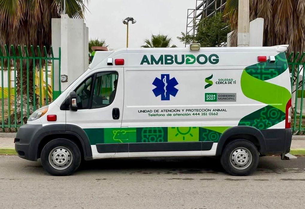 Comprometidos con la salud de las mascotas, ambudog sigue recorriendo colonias de Soledad para ofrecer atención gratuita