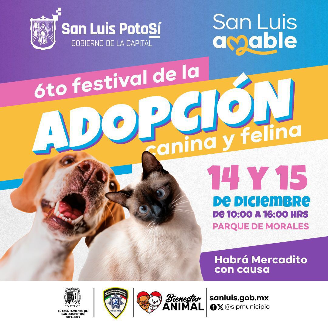 Este sábado y domingo, Gobierno de la Capital realizará el 6º Festival de Adopción Canina y Felina en Morales