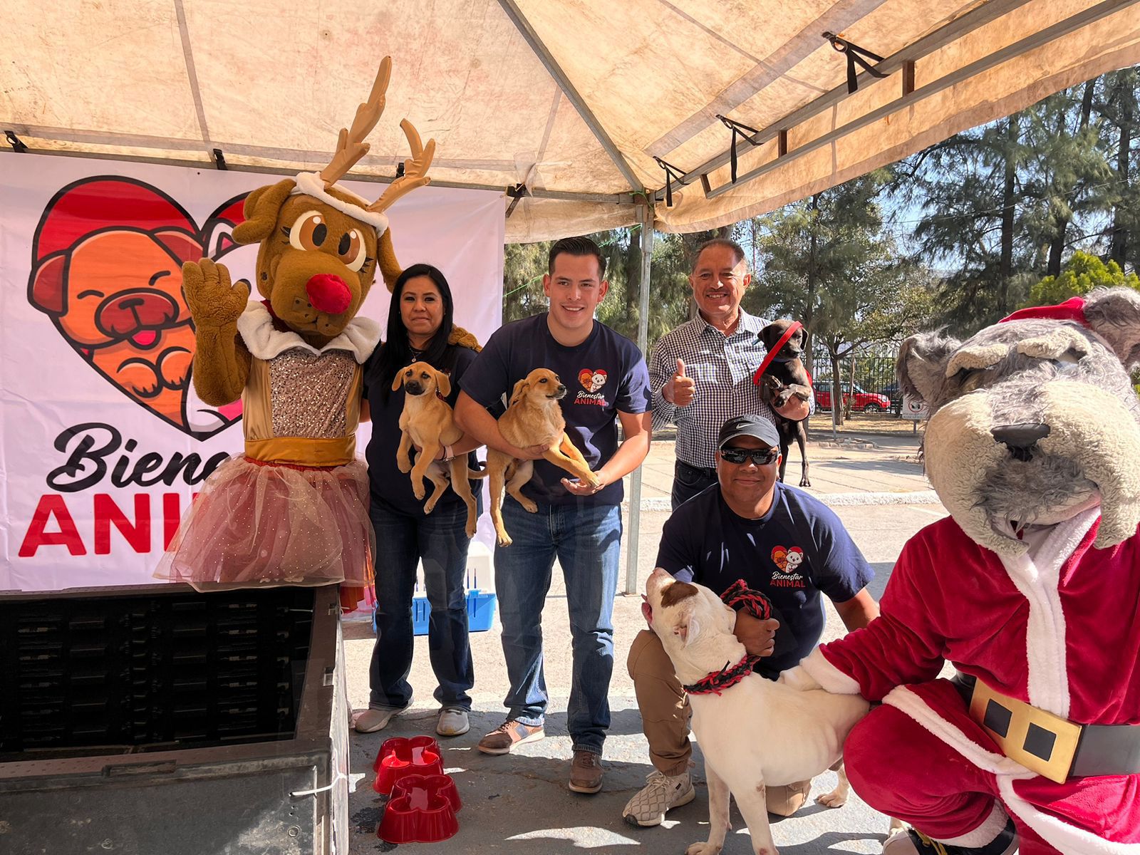 Gran respuesta ciudadana al 6º Festival de la Adopción Canina y Felina, gracias al Gobierno de la Capital, asociaciones y colectivos