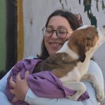 Ecología de Soledad exhorta a fortalecer la protección animal durante temporada navideña