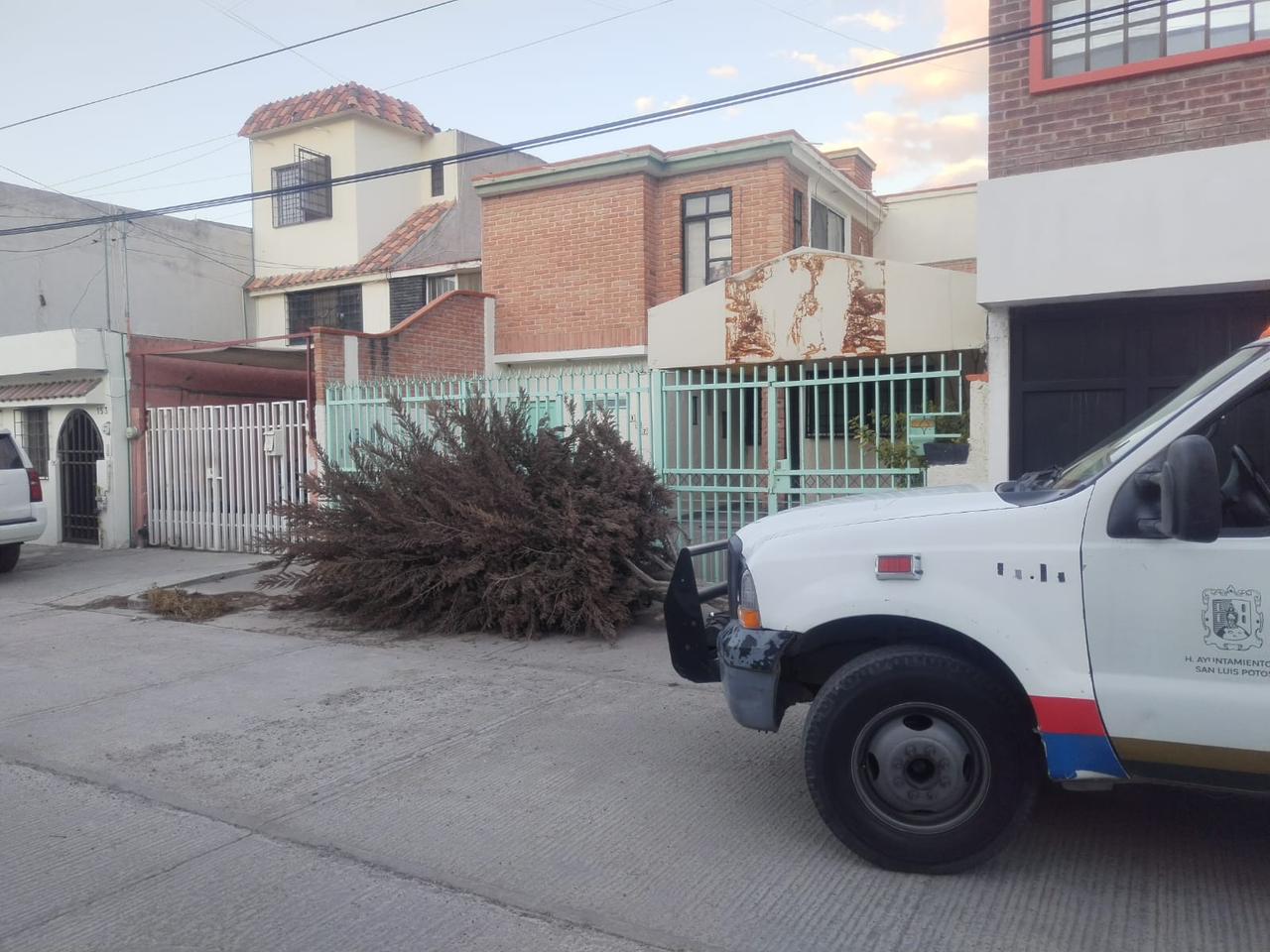 Gobierno de la Capital activa plan de emergencia para atención de incidencias por fuertes vientos registrados en la ciudad