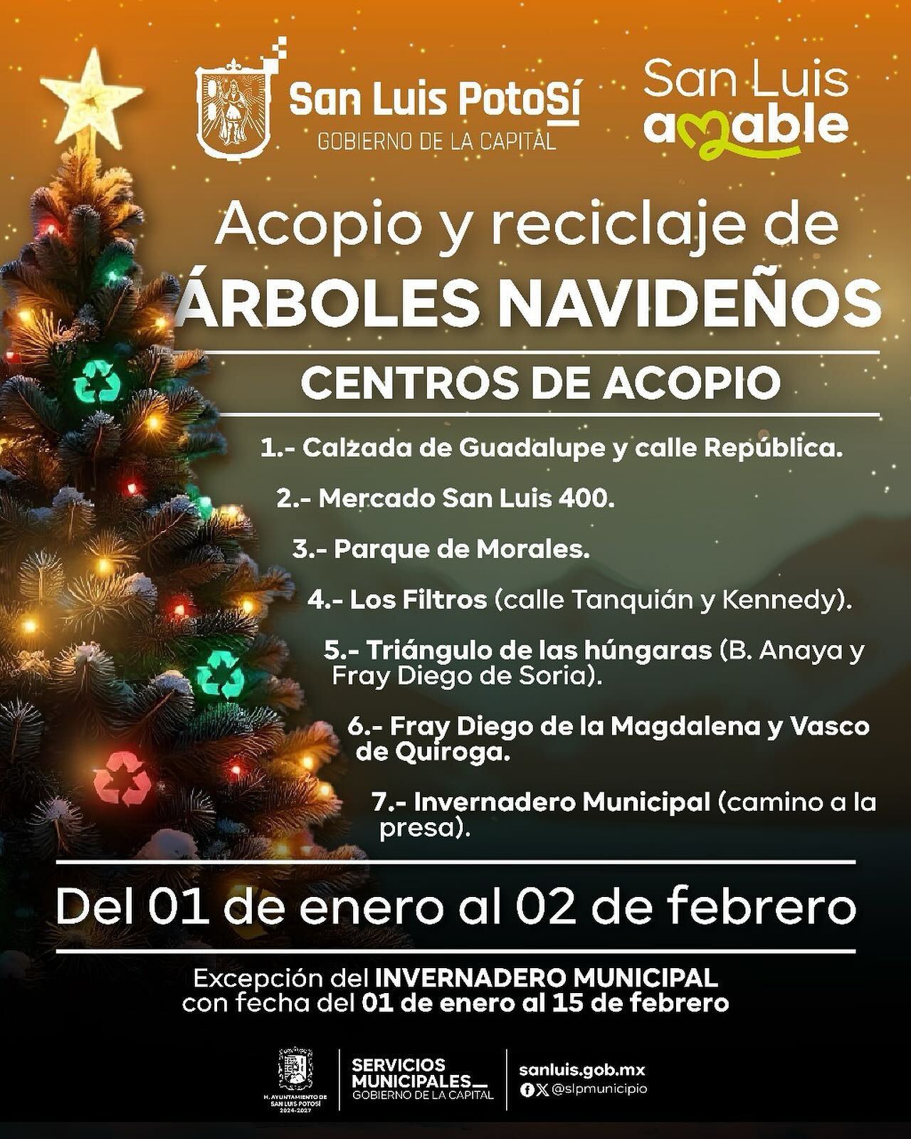 Ayuntamiento de SLP pone en operación los centros de acopio de árboles navideños naturales