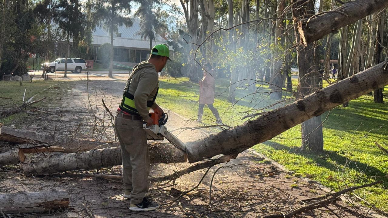 Gobierno del estado atiende afectaciones en los Tangamanga por fuertes vientos