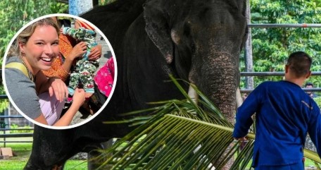 Tragedia en Tailandia: estudiante española muere atacada por un elefante en un santuario