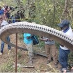 Extraño objeto cae del cielo en Kenia: ¿basura espacial?