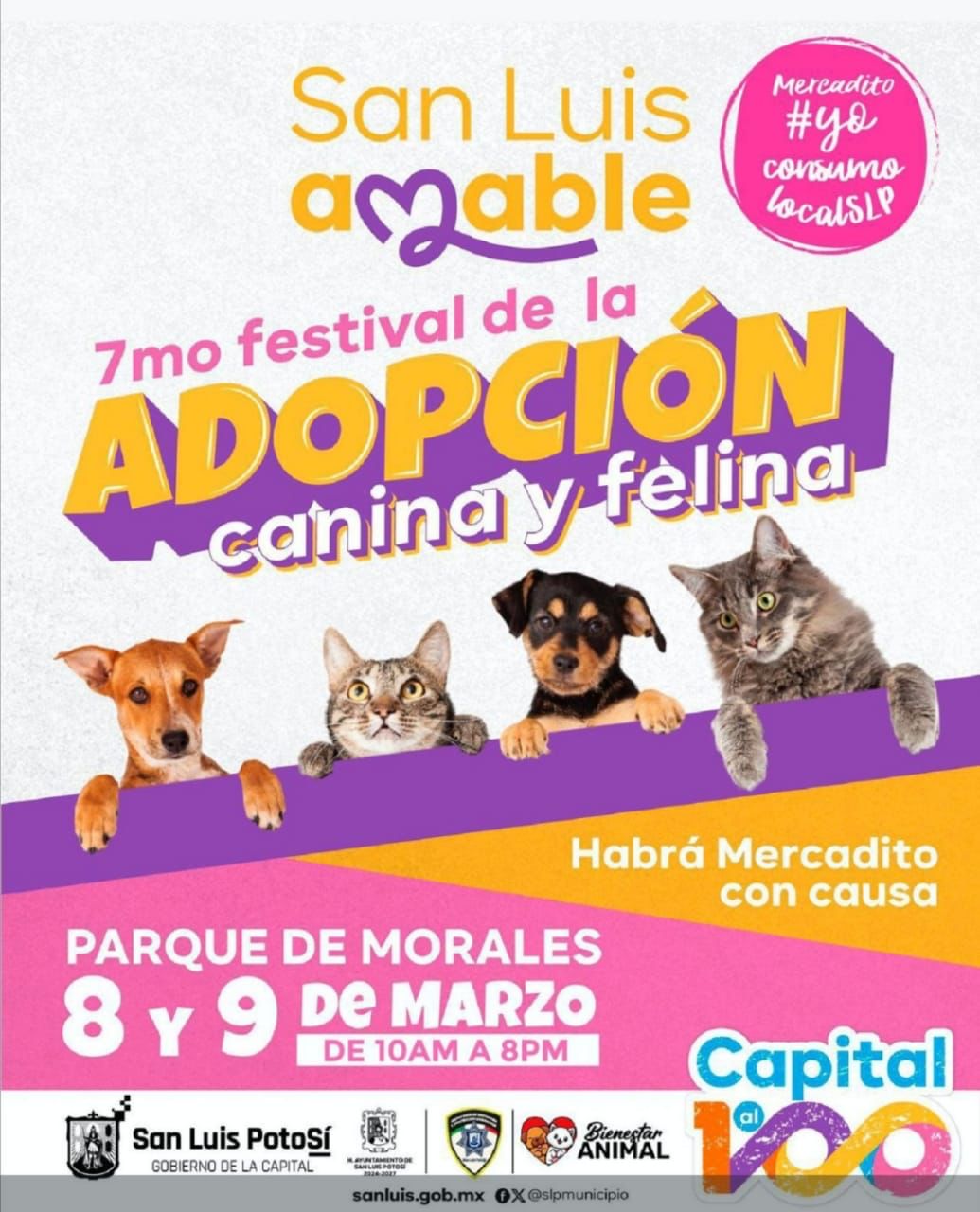 Ya prepara Gobierno de la Capital el Séptimo Festival de Adopción Canina y Felina