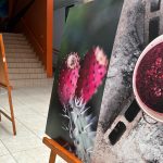 Exposición fotográfica “del elixir de los dioses a la mezcalería”