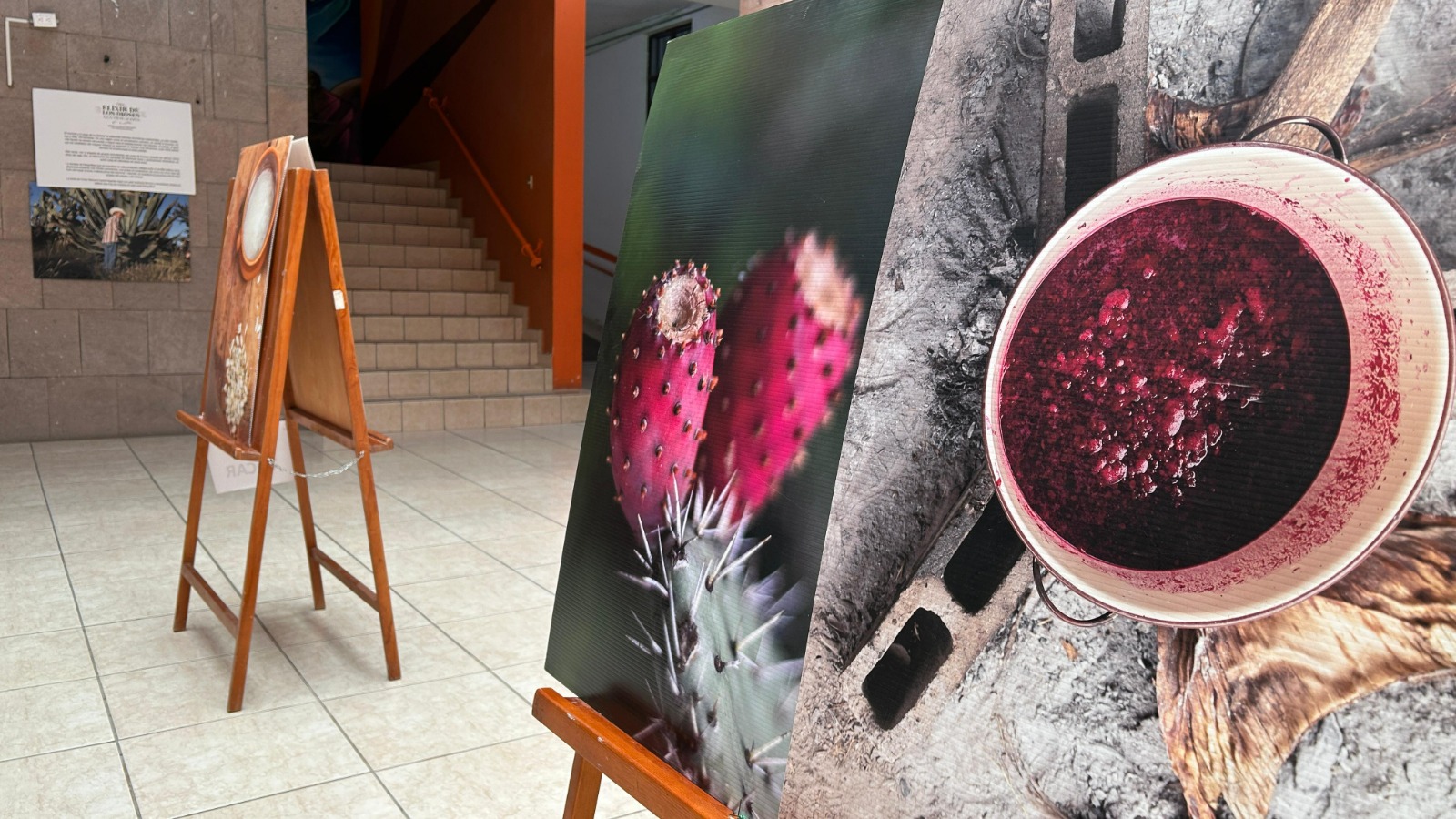 Exposición fotográfica “del elixir de los dioses a la mezcalería”