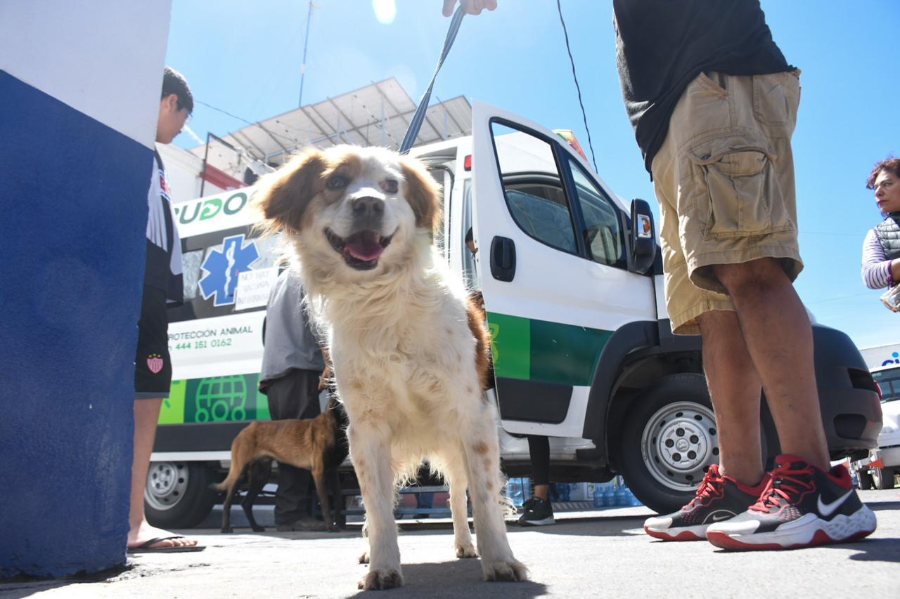 Ambudog en Soledad sigue fortaleciendo el bienestar animal con atención gratuita