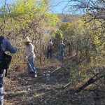 Autoridades de los tres niveles trabajan en incendio en Cerritos