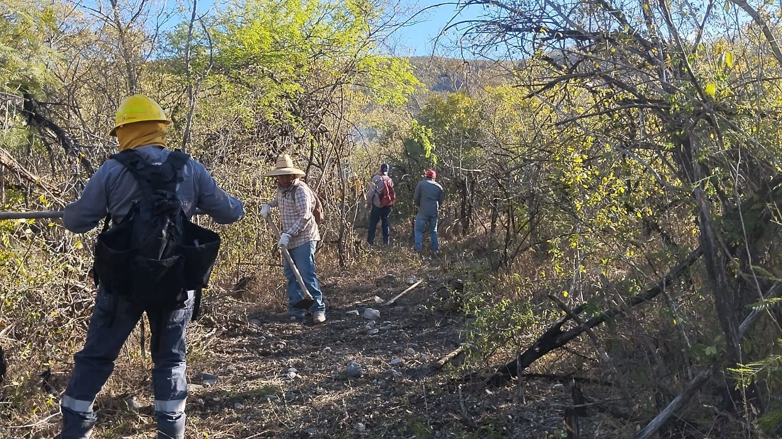 Autoridades de los tres niveles trabajan en incendio en Cerritos